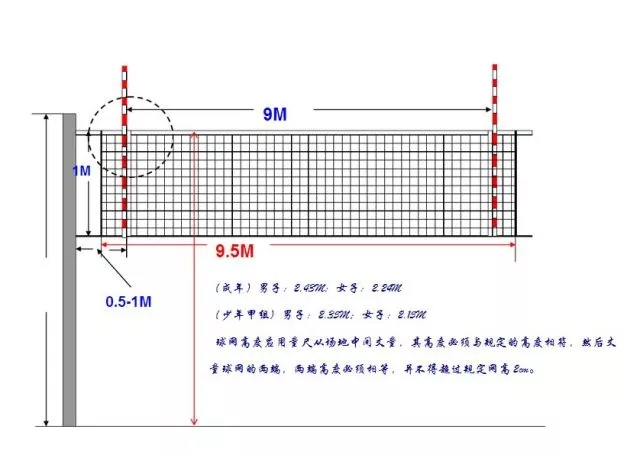 如何在买球网平台找到最佳交易